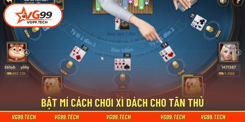 Chia sẻ luật chơi Xì Dách mới nhất