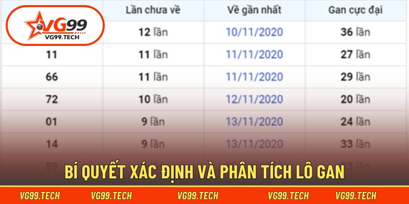 Hướng dẫn nhận diện, thông kế và phân loại lô gan